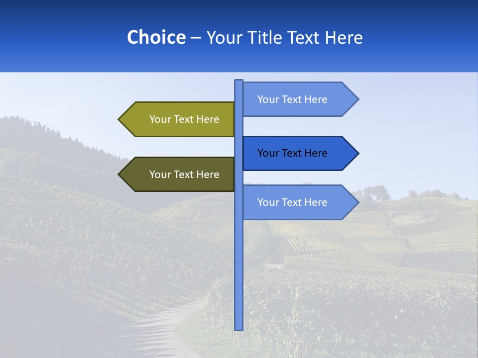 Summer Sunlight Forest PowerPoint Template