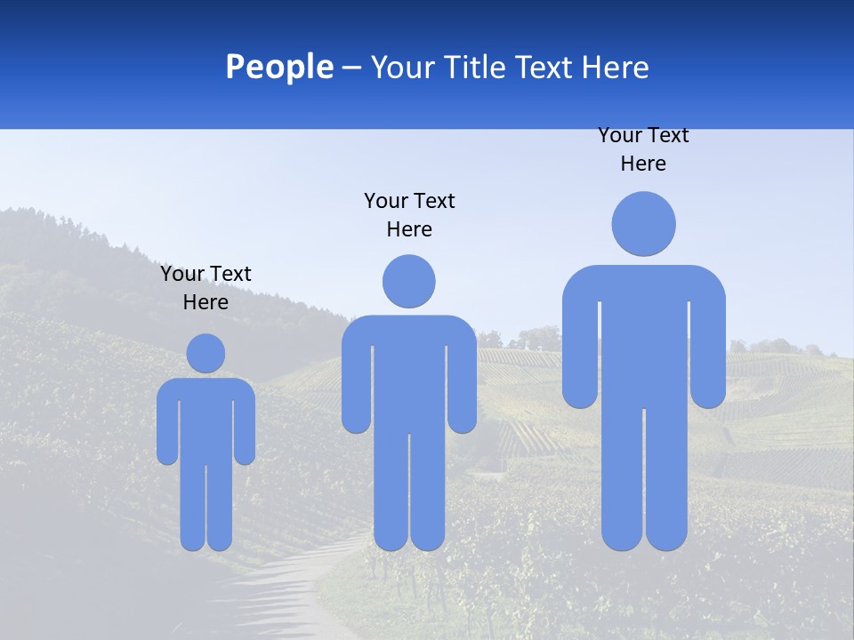 Summer Sunlight Forest PowerPoint Template