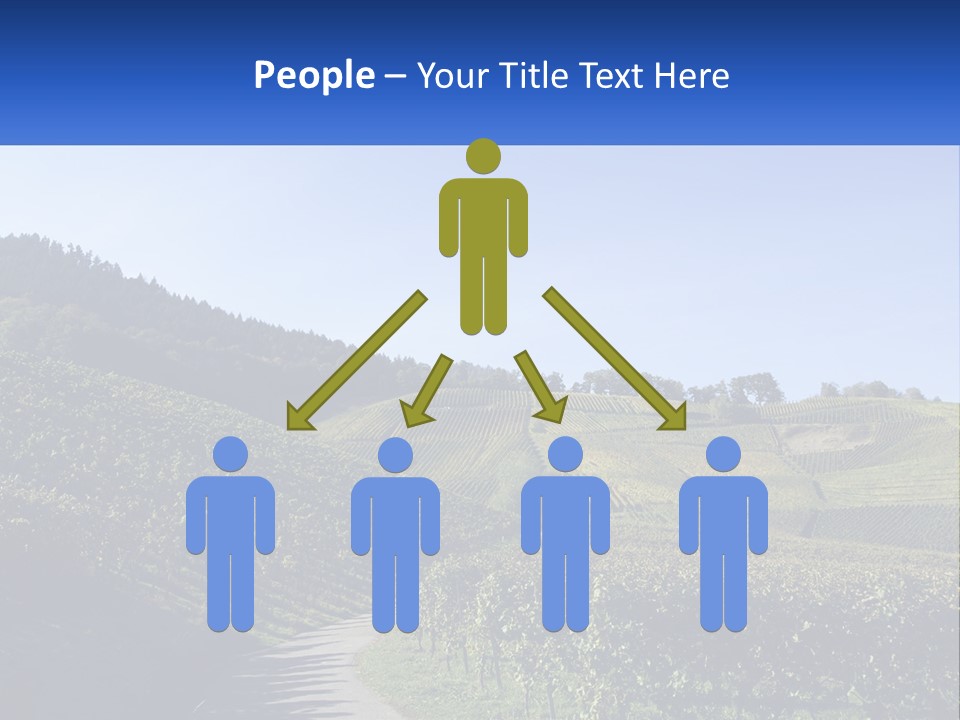 Summer Sunlight Forest PowerPoint Template