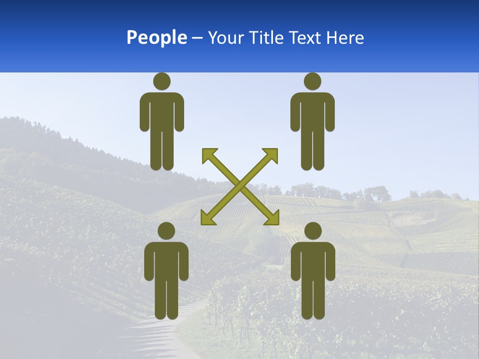 Summer Sunlight Forest PowerPoint Template