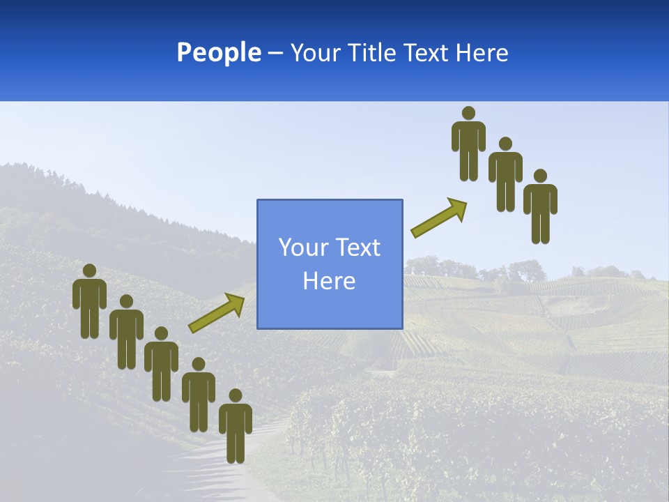 Summer Sunlight Forest PowerPoint Template