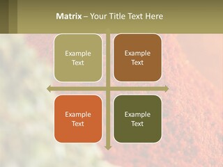Cinnamon Cardamon Seasoning PowerPoint Template