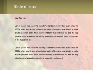Cinnamon Cardamon Seasoning PowerPoint Template
