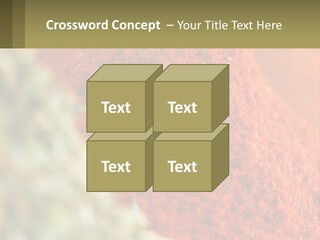 Cinnamon Cardamon Seasoning PowerPoint Template