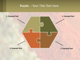 Cinnamon Cardamon Seasoning PowerPoint Template