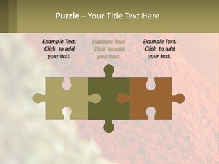 Cinnamon Cardamon Seasoning PowerPoint Template