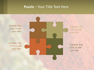 Cinnamon Cardamon Seasoning PowerPoint Template