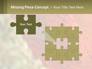 Cinnamon Cardamon Seasoning PowerPoint Template