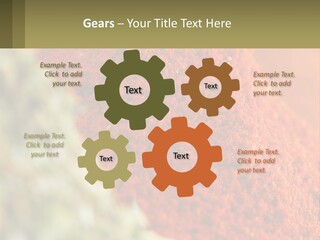 Cinnamon Cardamon Seasoning PowerPoint Template