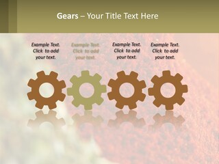 Cinnamon Cardamon Seasoning PowerPoint Template