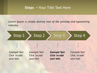 Cinnamon Cardamon Seasoning PowerPoint Template