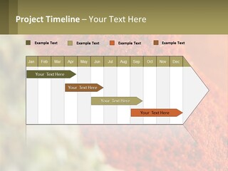 Cinnamon Cardamon Seasoning PowerPoint Template