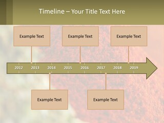 Cinnamon Cardamon Seasoning PowerPoint Template