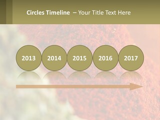 Cinnamon Cardamon Seasoning PowerPoint Template