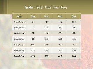 Cinnamon Cardamon Seasoning PowerPoint Template