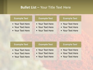 Cinnamon Cardamon Seasoning PowerPoint Template
