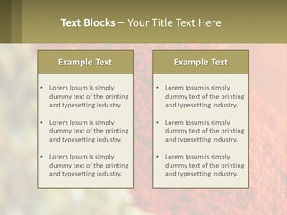 Cinnamon Cardamon Seasoning PowerPoint Template
