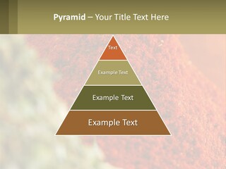 Cinnamon Cardamon Seasoning PowerPoint Template