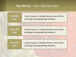 Cinnamon Cardamon Seasoning PowerPoint Template