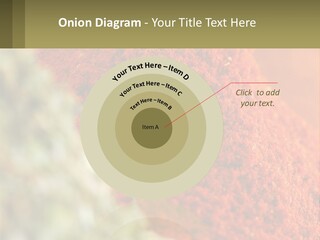 Cinnamon Cardamon Seasoning PowerPoint Template