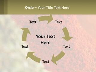 Cinnamon Cardamon Seasoning PowerPoint Template