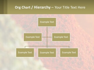 Cinnamon Cardamon Seasoning PowerPoint Template