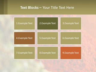 Cinnamon Cardamon Seasoning PowerPoint Template