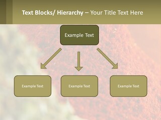 Cinnamon Cardamon Seasoning PowerPoint Template