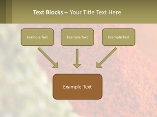 Cinnamon Cardamon Seasoning PowerPoint Template