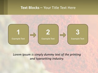Cinnamon Cardamon Seasoning PowerPoint Template