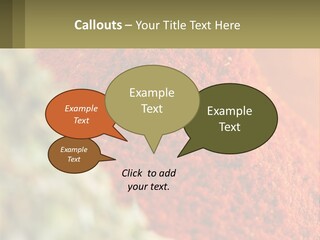 Cinnamon Cardamon Seasoning PowerPoint Template