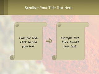 Cinnamon Cardamon Seasoning PowerPoint Template