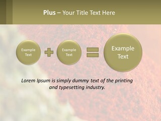 Cinnamon Cardamon Seasoning PowerPoint Template