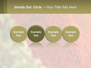 Cinnamon Cardamon Seasoning PowerPoint Template
