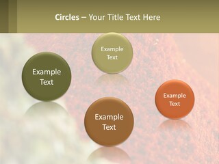 Cinnamon Cardamon Seasoning PowerPoint Template