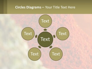 Cinnamon Cardamon Seasoning PowerPoint Template