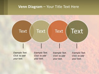 Cinnamon Cardamon Seasoning PowerPoint Template