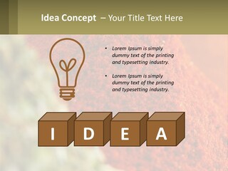Cinnamon Cardamon Seasoning PowerPoint Template