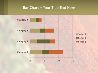Cinnamon Cardamon Seasoning PowerPoint Template