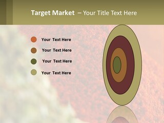 Cinnamon Cardamon Seasoning PowerPoint Template