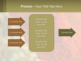 Cinnamon Cardamon Seasoning PowerPoint Template