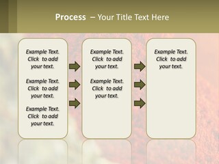 Cinnamon Cardamon Seasoning PowerPoint Template