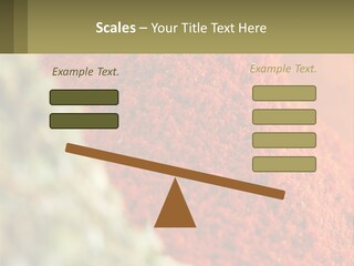 Cinnamon Cardamon Seasoning PowerPoint Template