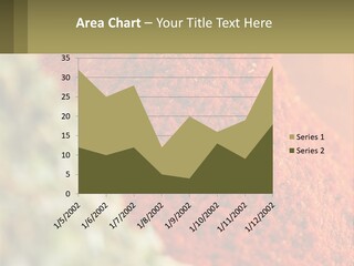 Cinnamon Cardamon Seasoning PowerPoint Template