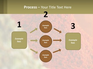 Cinnamon Cardamon Seasoning PowerPoint Template