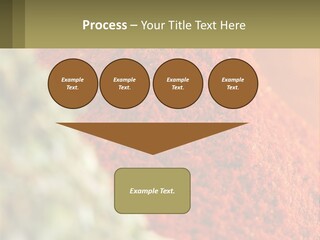Cinnamon Cardamon Seasoning PowerPoint Template