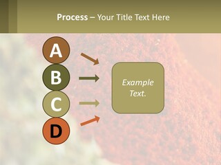 Cinnamon Cardamon Seasoning PowerPoint Template