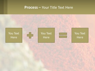 Cinnamon Cardamon Seasoning PowerPoint Template