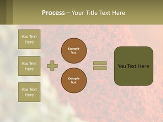 Cinnamon Cardamon Seasoning PowerPoint Template