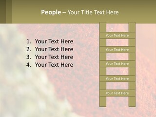 Cinnamon Cardamon Seasoning PowerPoint Template